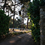 image11
